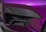 BMW Carbon Fiber Front Bumper Vent for F90 M5
